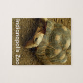 Tortoise in Indianapolis Zoo Legpuzzel (Horizontaal)