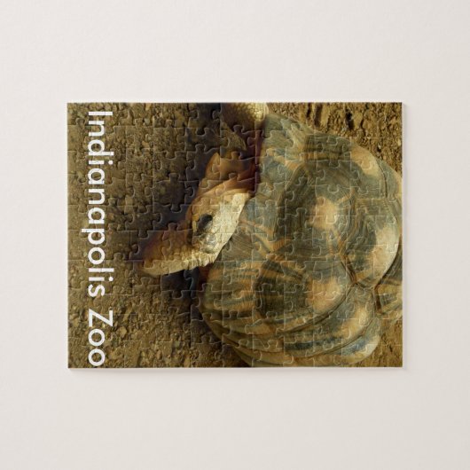 Tortoise in Indianapolis Zoo Legpuzzel (Horizontaal)