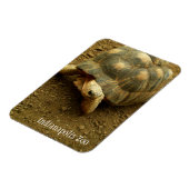 Tortoise in Indianapolis Zoo Magneet (Linkerzijde)