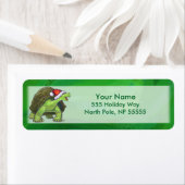 Tortoise in Santa Hat op groen Etiket (Insitu)