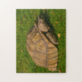 Tortoise Jigzaadpuzzel Legpuzzel (Verticaal)