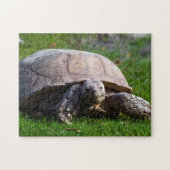 Tortoise Jigzaag Puzzle Legpuzzel (Horizontaal)