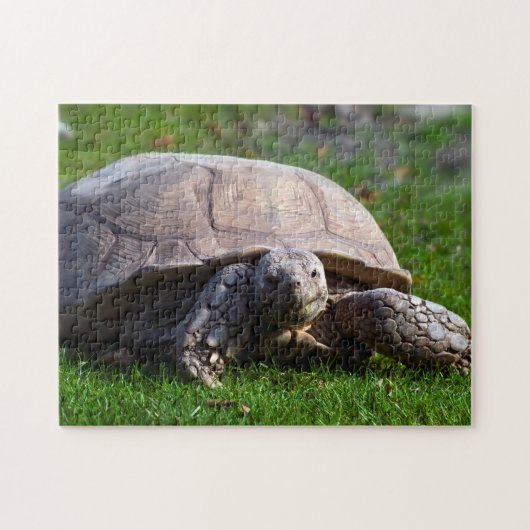 Tortoise Jigzaag Puzzle Legpuzzel (Horizontaal)