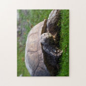 Tortoise Jigzaag Puzzle Legpuzzel (Verticaal)