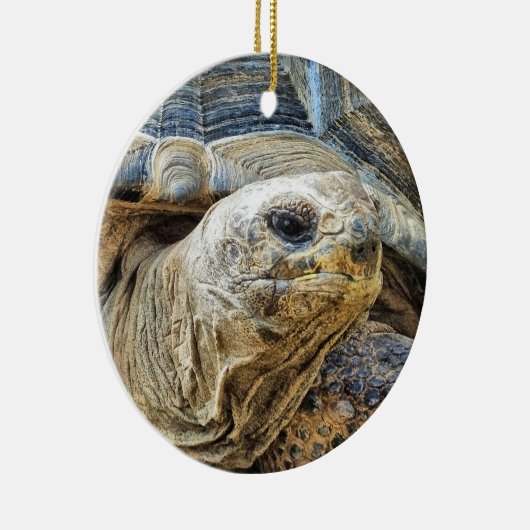 TORTOISE KERAMISCH ORNAMENT (Rechts)