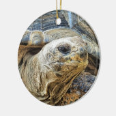TORTOISE KERAMISCH ORNAMENT (Links)