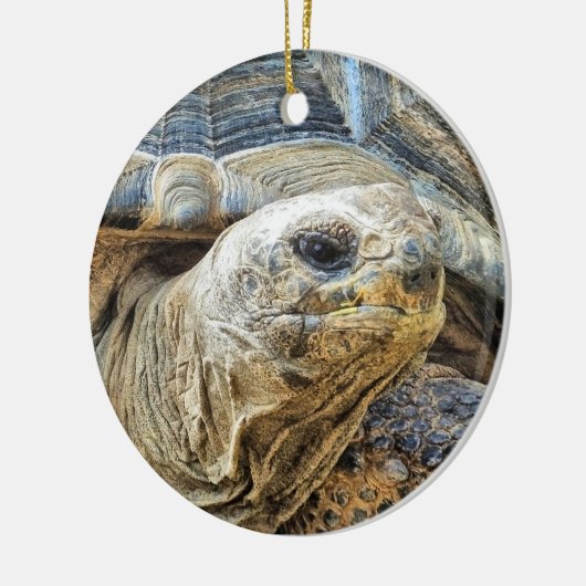 TORTOISE KERAMISCH ORNAMENT (Links)