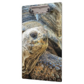 TORTOISE KLEMBORD (Links)