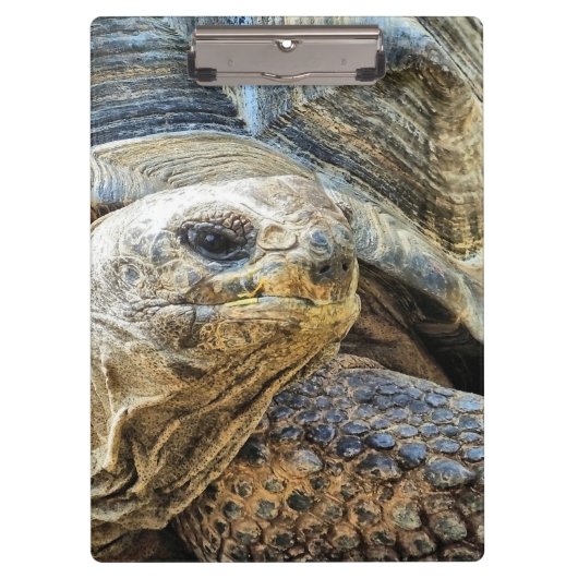 TORTOISE KLEMBORD (Voorkant)