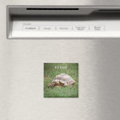 Tortoise-koeler Magnet (Insitu (Vaatwasser))