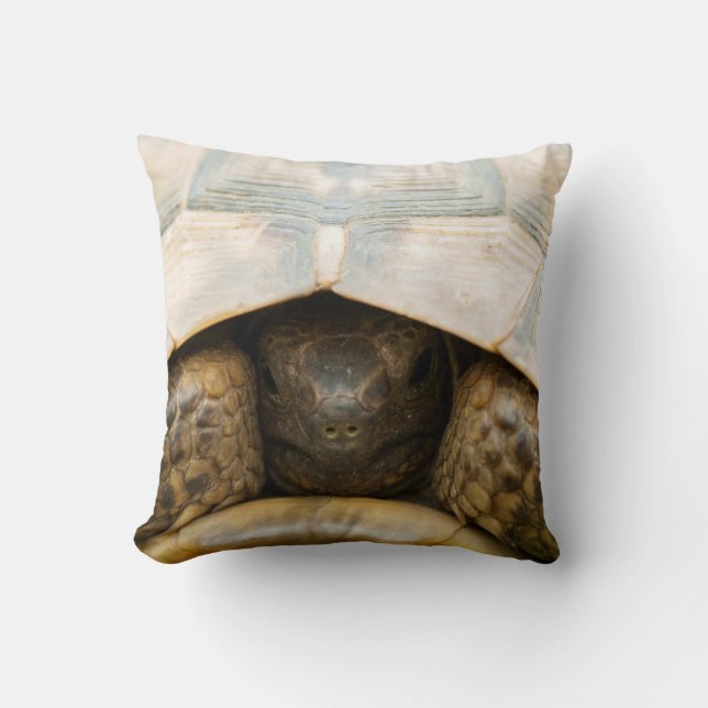 Tortoise Kussen (Voorkant)