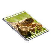 Tortoise-laptop Notitieboek (Rechterzijde)