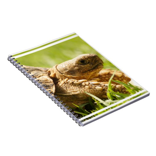Tortoise-laptop Notitieboek (Rechterzijde)