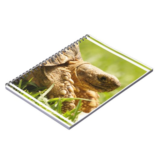 Tortoise-laptop Notitieboek (Linkerzijde)