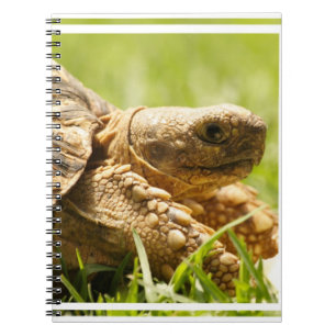 Tortoise-laptop Notitieboek