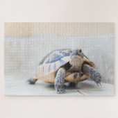 Tortoise Legpuzzel (Horizontaal)
