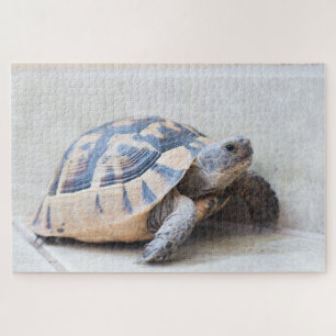 Tortoise Legpuzzel