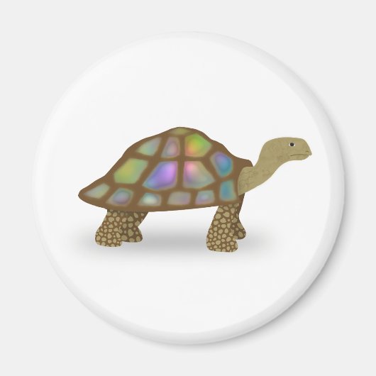 Tortoise Magneet (Voorkant)