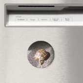 Tortoise Magneet (Insitu (Vaatwasser))