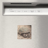 Tortoise Magnet (Insitu (Vaatwasser))