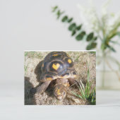 Tortoise met hartpatroon briefkaart (Staand voorkant)
