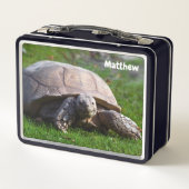 Tortoise Metal Lunchbox (Achterkant)