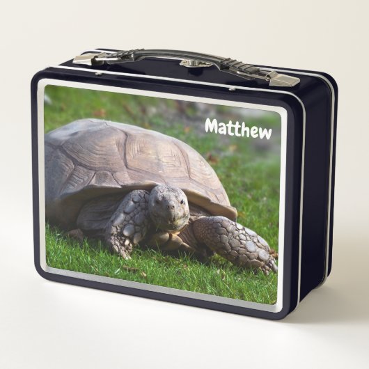 Tortoise Metal Lunchbox (Achterkant)