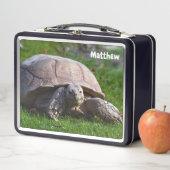 Tortoise Metal Lunchbox (In situ)