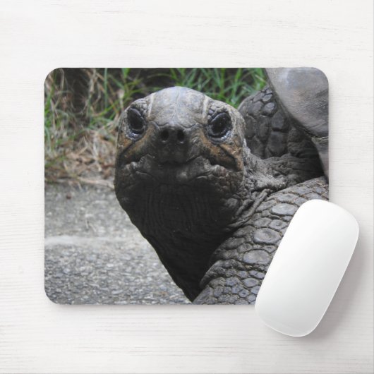 Tortoise Mousepad Muismat (Met muis)