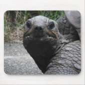 Tortoise Mousepad Muismat (Voorkant)