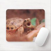 Tortoise Muismat (Met muis)