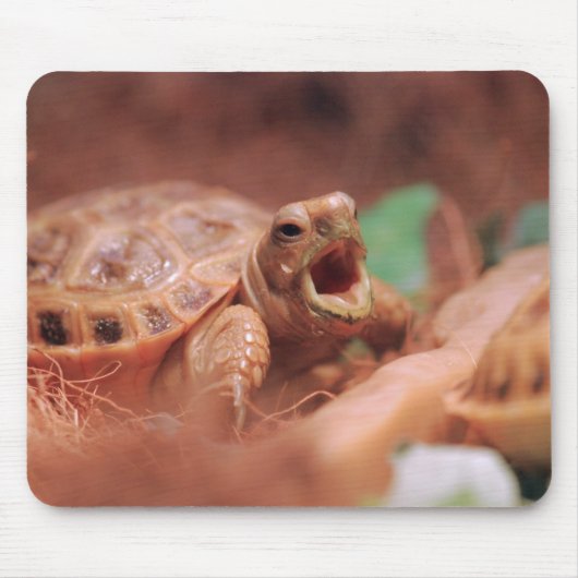 Tortoise Muismat (Voorkant)