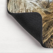 TORTOISE MUISMAT (Hoek)