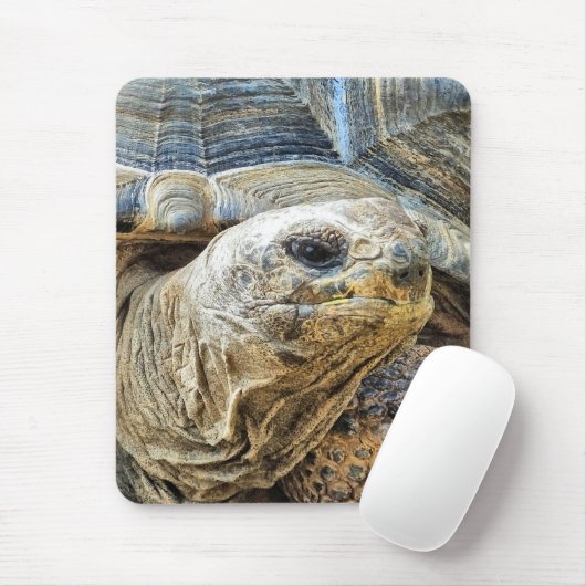 TORTOISE MUISMAT (Met muis)