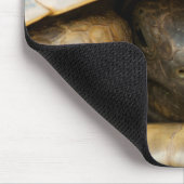 Tortoise Muismat (Hoek)