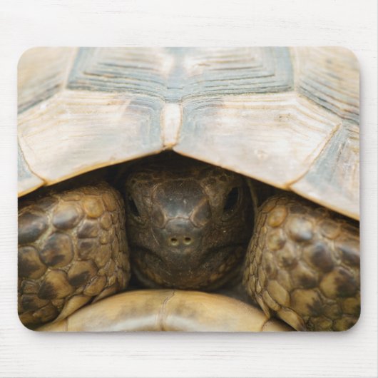Tortoise Muismat (Voorkant)