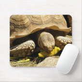 Tortoise-Muismat Muismat (Met muis)