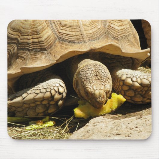 Tortoise-Muismat Muismat (Voorkant)