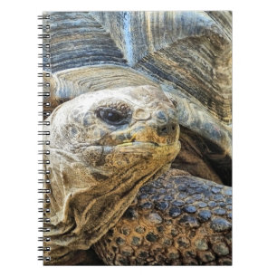 TORTOISE NOTITIEBOEK
