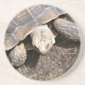Tortoise Onderzetter (Voorkant)