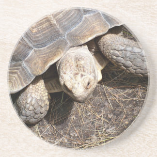 Tortoise Onderzetter