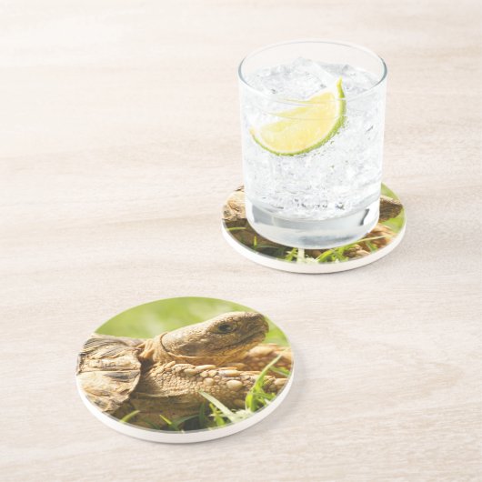 Tortoise Onderzetter (Zijkant)