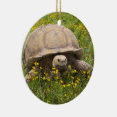 Tortoise-Ornament Keramisch Ornament (Rechts)