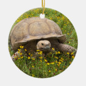 Tortoise-Ornament Keramisch Ornament (Voorkant)