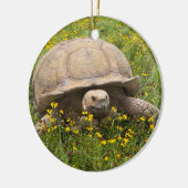 Tortoise-Ornament Keramisch Ornament (Links)