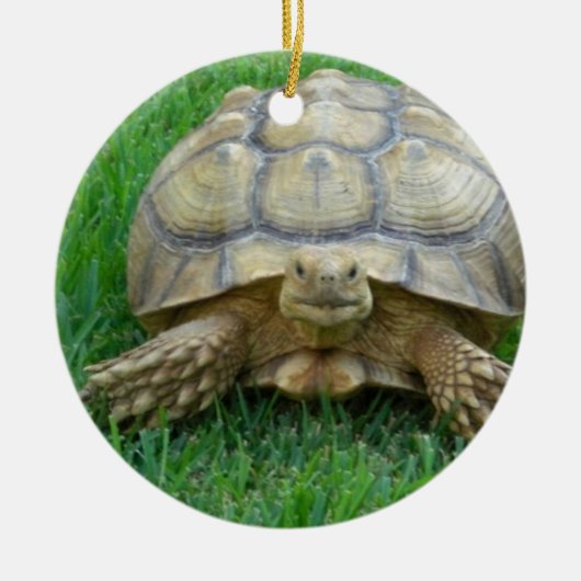 Tortoise Ornaments Keramisch Ornament (Voorkant)