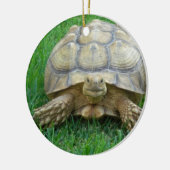 Tortoise Ornaments Keramisch Ornament (Links)