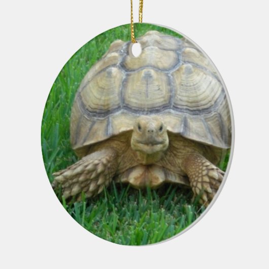 Tortoise Ornaments Keramisch Ornament (Links)