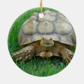 Tortoise Ornaments Keramisch Ornament (Achterkant)