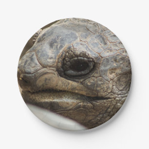 Tortoise Papieren Bordje